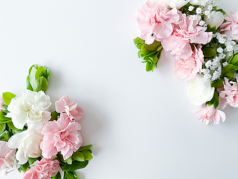 포토 JPG 해외이미지 꽃 잎 사람없음 봄 흰배경 카피스페이스 해외202310 해외포토 식물 계절 백그라운드 공백 흰색 파일형식