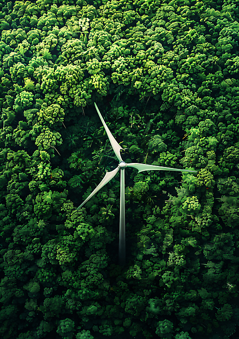 JPG 나무 편집 편집이미지 자연 사람없음 초록색 에너지 숲 에코 합성 풍력발전소 이미지 풍력기 편집실사 식물 컬러 환경 발전소 풍력에너지 CG 생태계 파일형식