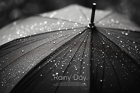 PSD 편집이미지 우산 사람없음 검은색 분위기 빗방울 장마 여름_계절 이미지편집 계절 컬러 컨셉 비_날씨 파일형식