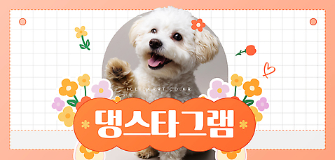 식물 템플릿 감정 컬러 컨셉 표정 반려동물 예절 개 푸들 파일형식 벡터 스튜디오 소셜네트워크 토이푸들 주황색 강아지 웃음 꽃 행복 인사 반려견 즐거움 AI_파일형식 사람없음 귀여움 이미지템플릿