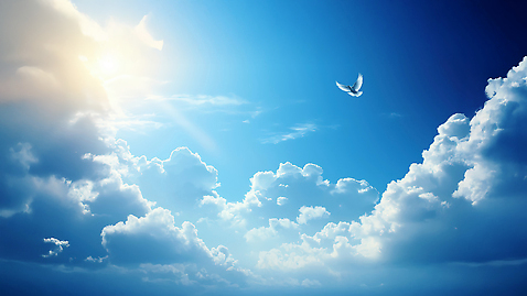 JPG 편집이미지 자연 조류 하늘 날씨 풍경 햇빛 태양 평화 맑음 새벽 자유 비행 편집실사 AI컴퓨터그래픽 AI콘텐츠 자연요소 동물 컨셉 CG 생태계 파일형식