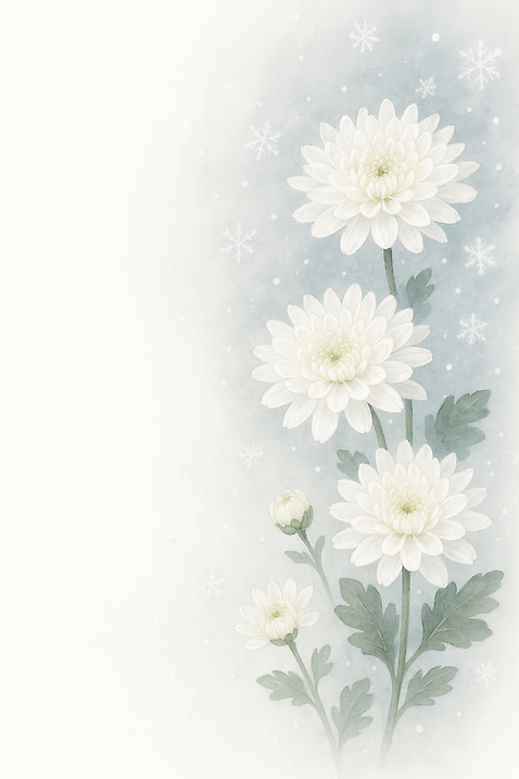 JPG 식물 계절 꽃잎 꽃 화초 컬러 백그라운드 잎 겨울 일러스트 자연 생명 국화 장식 흰색 우아함 겨울꽃 조화 국내일러스트 AI일러스트 AI콘텐츠 컨셉 생태계 파일형식