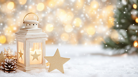 JPG 편집이미지 별 크리스마스 겨울 조명 장식 빛 랜턴 소나무 휴일 분위기 편안함 오브젝트 겨울풍경 이미지편집 AI컴퓨터그래픽 AI콘텐츠 자연요소 나무 계절 기념일 컨셉 풍경 감각 파일형식