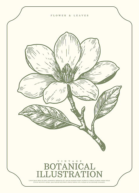 식물 디자인 꽃 예술 줄기 잎 일러스트 자연 생명 미술 빈티지 그림 원예 식물원 목련 디테일 국내일러스트 AI파일 컨셉 문화예술 취미 생태계 파일형식 벡터