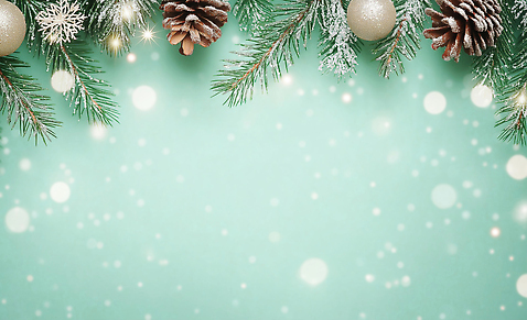 JPG 나무 편집이미지 백그라운드 크리스마스 겨울 장식 파티 축제 나뭇가지 축하 눈송이 구슬 오브젝트 보케 솔방울 오너먼트 편집실사 AI컴퓨터그래픽 AI콘텐츠 식물 계절 기념일 컨셉 크리스마스장식 눈_날씨 이벤트 CG 파일형식