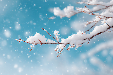 JPG 편집이미지 계절 잎 겨울 자연 하늘 바람 날씨 풍경 나뭇가지 눈 눈송이 차가움 눈덩이 기온 편집실사 AI포토 AI콘텐츠 자연요소 나무 식물 눈_날씨 CG 생태계 파일형식