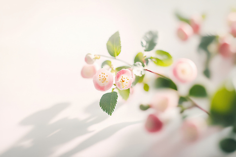 JPG 나무 식물 편집이미지 꽃 분홍색 잎 자연 생명 잔디 빛 봄 뷰티풀 편집실사 AI포토 AI콘텐츠 계절 컬러 CG 생태계 파일형식