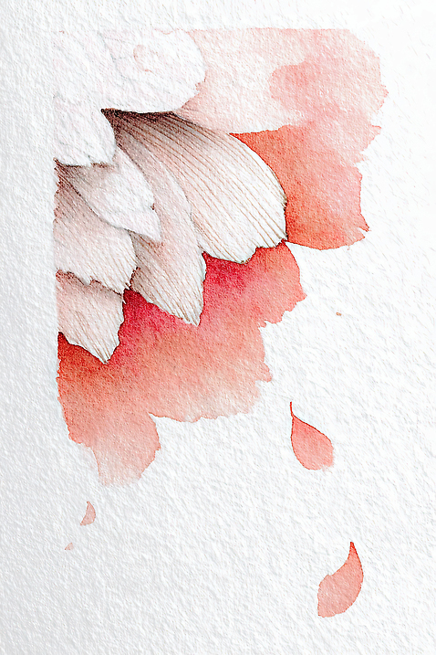 JPG 모양 디자인 꽃잎 꽃 감정 예술 선 컬러 백그라운드 잎 일러스트 자연 수채화 미술 물감 떨어짐 낙서 그림 질감 드로잉 창의성 국내일러스트 AI일러스트 AI콘텐츠 식물 컨셉 문화예술 미술도구 생태계 파일형식