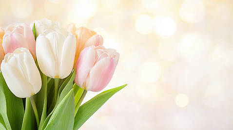 JPG 식물 편집이미지 꽃잎 꽃 화초 컬러 꽃다발 백그라운드 잎 촛불 자연 봄 튤립 보케 화사함 뷰티풀 이미지편집 AI포토 AI콘텐츠 계절 컨셉 초 생태계 파일형식