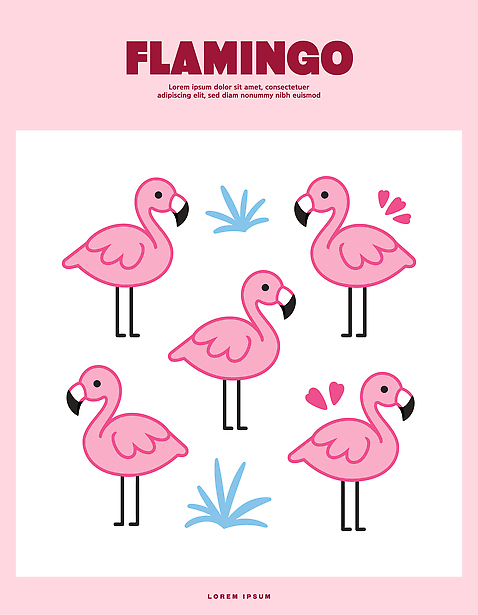 모양 식물 동물 디자인 분홍색 컬러 백그라운드 패턴 일러스트 서기 장식 파란색 크기 플라밍고 그림 설치 국내일러스트 AI파일 무늬 모션 조류 파일형식 벡터