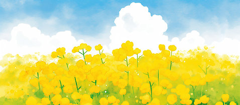 JPG 식물 꽃 여유 여행 꽃밭 일러스트 자연 생명 바람 날씨 풍경 초원 여름 햇빛 노란색 정원 봄 산책 성장 장면 국내일러스트 AI일러스트 AI콘텐츠 자연요소 계절 감정 컬러 휴식 태양 생태계 파일형식