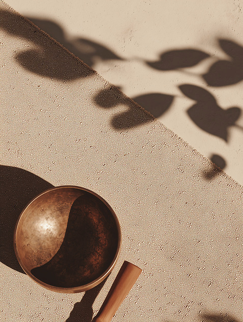 JPG 나무 식물 편집이미지 그릇 재료 자연 탁자 나뭇잎 그림자 장식 빛 촬영 소리 도구 질감 싱잉볼 편집실사 AI포토 AI콘텐츠 식기 가구 잎 불교용품 CG 생태계 파일형식