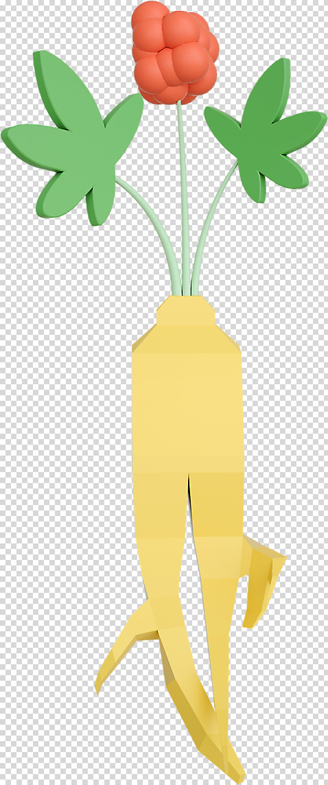 편집 편집이미지 누끼 사람없음 한개 3D소스 3D 산삼 인삼 디지털합성 PNG 인삼꽃 폴리곤 로우폴리 편집소스 1 꽃 삼 파일형식