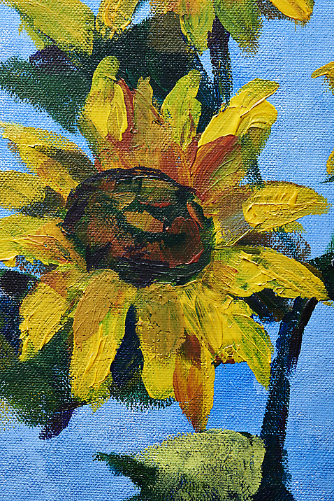 포토 JPG 스튜디오촬영 백그라운드 추상 해바라기 사람없음 컬러풀 표현 그림 질감 유화 유화물감 국내포토 꽃 컬러 무늬 실내 미술 물감 파일형식