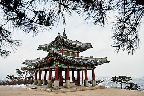 포토 자연요소 식물 계절 잎 겨울 한국건축 날씨 풍경 문화재 경기도 랜드마크 수원 파일형식 솔잎 나무 수원화성 세계문화유산 전통 문화 눈 야외 JPG 겨울풍경 사람없음 화성시 주간 설경 국내포토