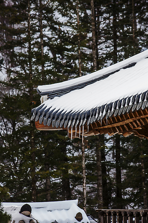 포토 JPG 주간 겨울 사람없음 야외 눈 소나무 사찰 강원도 기와지붕 고드름 전나무 월정사 평창 기와담장 국내포토 자연요소 나무 계절 종교건축 지붕 날씨 한국 기와 담장 얼음 파일형식
