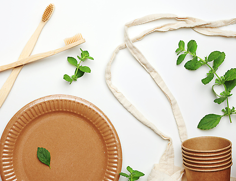 포토 JPG 해외이미지 접시 잎 실내 사람없음 재활용 종이컵 일회용 천 흰배경 친환경 해외포토 식물 식기 백그라운드 내부 컵 환경 흰색 직물 파일형식