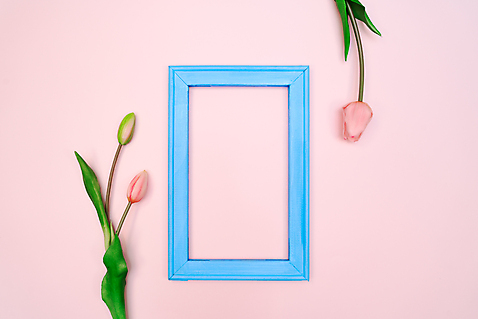 포토 JPG 해외이미지 스튜디오촬영 액자 프레임 실내 사람없음 튤립 분홍색배경 해외포토 꽃 분홍색 백그라운드 내부 파일형식