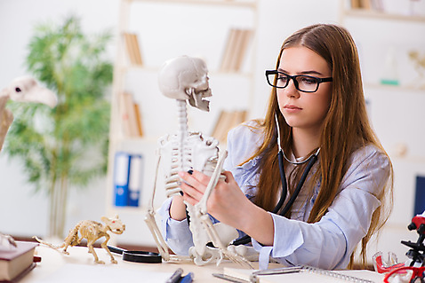 포토 JPG 해외이미지 여자 대학생 청진기 실내 한명 들기 상반신 성인 옆모습 집중 의대생 뼈모형 성인여자한명만 안경낌 해외202105 해외포토 1 학생 안경 뷰포인트 컨셉 의료기기 모션 사람 내부 모형 여자한명만 성인여자만 파일형식