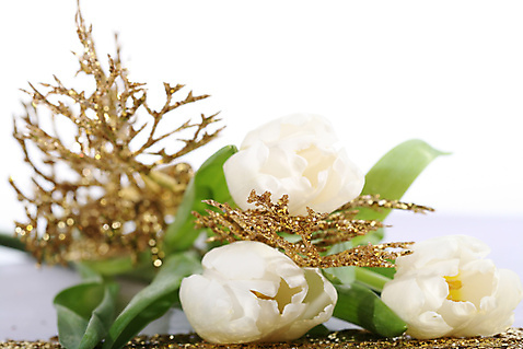 포토 JPG 해외이미지 식물 꽃잎 꽃 줄기 분홍색 꽃다발 백그라운드 잎 꽃무늬 휴가 발렌타인데이 3 선물 사람없음 장식 초록색 튤립 벚꽃 흰색 신선 생일 그룹 다발 해외202004 해외202105 해외포토 기념일 컬러 무늬 데이이벤트 파일형식