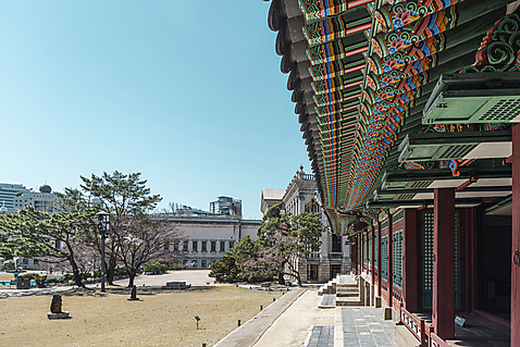 포토 JPG 주간 하늘 서울 사람없음 야외 관광지 봄풍경 문화재 처마 덕수궁 국내포토 자연요소 여행 한국 풍경 봄 궁전 파일형식