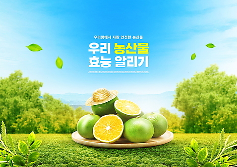 PSD 편집이미지 하늘색 나뭇잎 타이포그라피 사람없음 초록색 농작물 알림 유기농 밀짚모자 국산 나무받침 초원_자연 청귤 로컬푸드 이미지편집 문자 모자_잡화 웰빙 컬러 잎 농업 과일 목재 파란색 농산물 받침대 파일형식