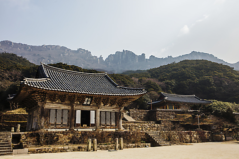 포토 JPG 주간 나무 사람없음 야외 전라남도 해남 달마산 미황사 국내포토 자연요소 식물 산 사찰 전라도 파일형식