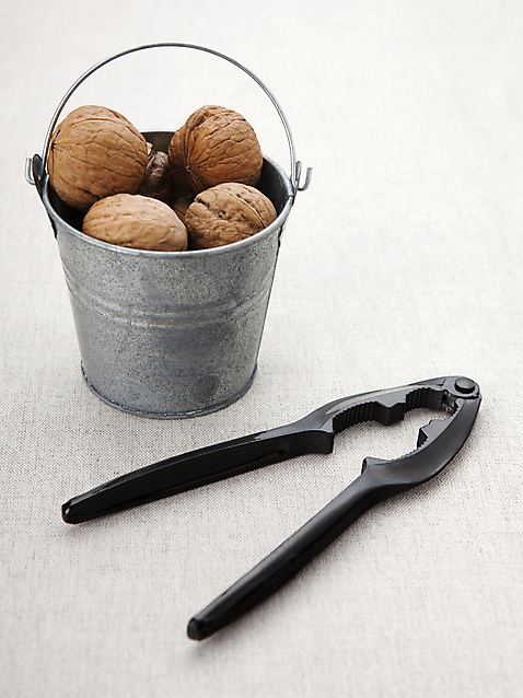 포토 식물 명절 다수 농업 모션 재질 주방용품 실내 내부 견과류 도구 정월대보름 파일형식 농작물 열매 호두 부럼 양동이 식재료 음식 껍질 공구 기구 여러개 금속 철 통 담기 스튜디오촬영 사람없음 JPG 호두망치 국내포토