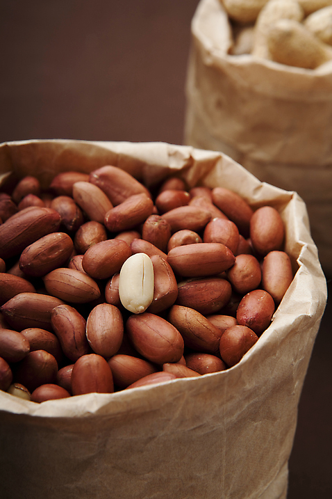 포토 식물 명절 뷰포인트 다수 농업 모션 봉투 촬영기법 실내 내부 견과류 정월대보름 파일형식 농작물 땅콩 열매 부럼 식재료 음식 껍질 여러개 종이봉투 담기 스튜디오촬영 JPG 사람없음 아웃포커스 근접촬영 국내포토