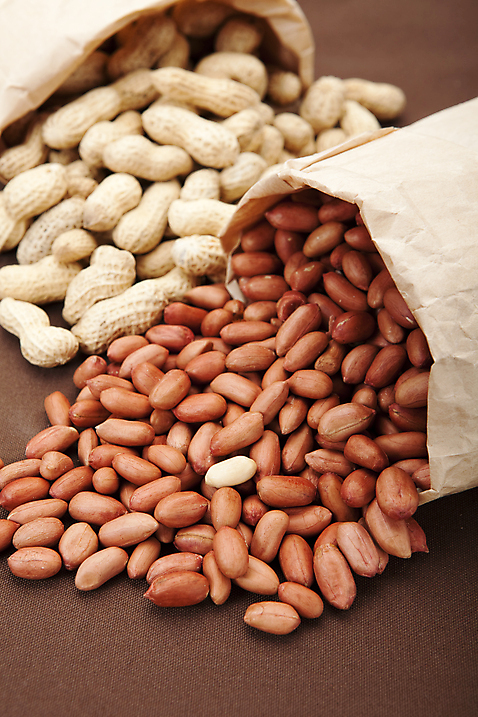 포토 식물 명절 다수 농업 모션 봉투 실내 내부 견과류 정월대보름 파일형식 농작물 땅콩 열매 부럼 식재료 음식 껍질 여러개 쏟아짐 종이봉투 담기 스튜디오촬영 JPG 사람없음 다양 국내포토