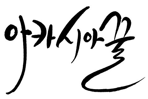 문자 손글씨 음식 일러스트 캘리그라피 타이포그라피 글자캘리그라피 한글 사람없음 단어 꿀 아카시아 AI_파일형식 국내일러스트 나무 파일형식 벡터