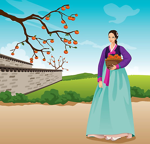 전신 나무 식물 한국문화 한국전통 전통 여자 명절 열매 전통문화 문화 과일 일러스트 하늘 감 한명 서기 웃음 사람 성인 담장 바구니 전통의상 한복 감나무 감따기 여자만 여자한명만 성인여자만 성인만 AI_파일형식 구름_자연 미소_표정 국내일러스트 자연요소 1 동양문화 기념일 모션 한국 표정 파일형식 벡터