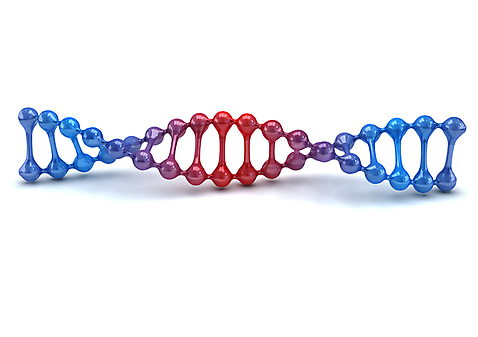 PSD 백그라운드 의학 세포 나선형 사람없음 그래픽 치료 3D소스 3D 과학기술 DNA 생명공학 입체 원자 염색체 무늬 기술 디지털합성 파일형식