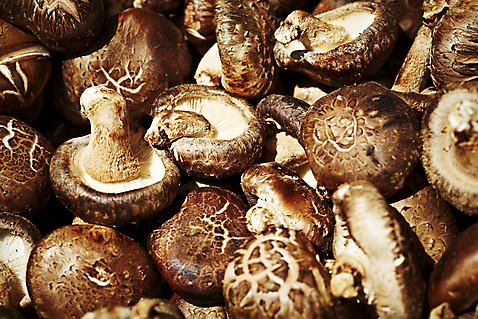 포토 JPG 스튜디오촬영 웰빙 음식 백그라운드 채소 식재료 탁자 실내 근접촬영 사람없음 아웃포커스 농작물 버섯 친환경 유기농 표고버섯 국내포토 뷰포인트 가구 농업 촬영기법 내부 환경 파일형식