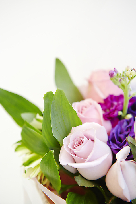 포토 식물 꽃 뷰포인트 컬러 백그라운드 촬영기법 실내 내부 바구니 파일형식 장미 선물 꽃백그라운드 아웃포커스 꽃바구니 분홍색 보라색 근접촬영 스튜디오촬영 사람없음 JPG 국내포토