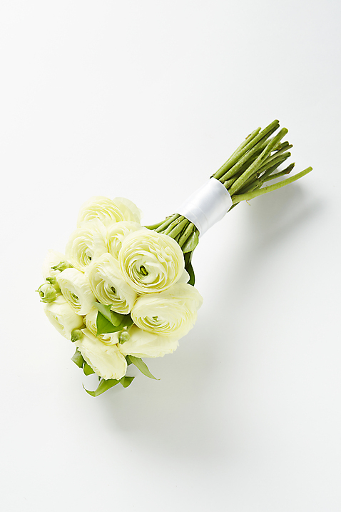 포토 식물 꽃 컬러 백그라운드 실내 내부 파일형식 노란색 선물 꽃백그라운드 라넌큘러스 꽃다발 스튜디오촬영 사람없음 JPG 국내포토