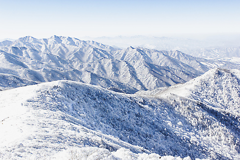 포토 JPG 주간 계절 겨울 자연 산 풍경 사람없음 야외 정상 전라북도 산등성이 덕유산 상고대 국내포토 자연요소 전라도 생태계 서리 무주 파일형식