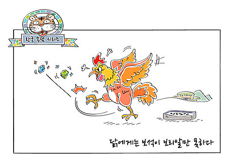 일러스트 사람없음 닭 호랑이 보석 사자성어 보리 가치 속담 AI_파일형식 국내일러스트 문자 포유류 조류 곡류 한자 광석 파일형식 벡터