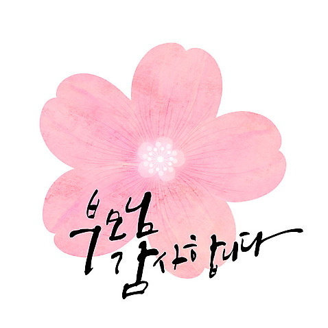 문자 꽃잎 일러스트 캘리그라피 카드_감사 한글 사람없음 부모 어버이날 감사 가정의달 AI_파일형식 국내일러스트 기념일 꽃 감정 가족 프레임 5월 파일형식 벡터