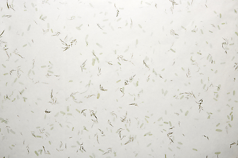 포토 전통 종이 백그라운드 실내 오브젝트 파일형식 사람없음 JPG 한지배경 한지 전통소품 스튜디오촬영 국내포토