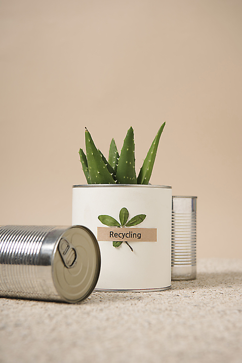 포토 식물 캠페인 자연 실내 내부 환경 보호 친환경 파일형식 JPG 재활용 업사이클링 그린캠페인 에코 캔 화분 사람없음 다육식물 스튜디오촬영 자연보호 국내포토